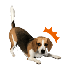 Asuka_20201019211941