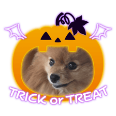 Pomeranian no mocochan_Halloween stamps