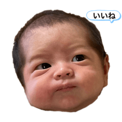 SADAICHIRO 1 Month