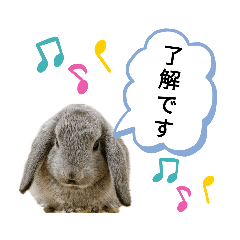 matsu_20201019193928