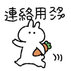 white rabbit and carrot(contact)