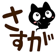 Very cute black cat (Black words)