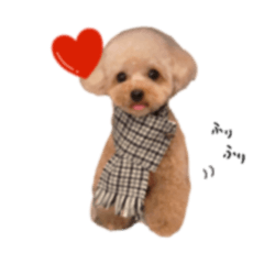 Ema__coton stickers