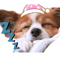 nanami_20201019231528