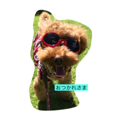 kinaco_20201020002327