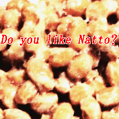 Do you like Natto?