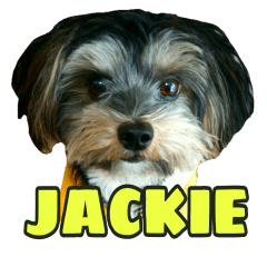 smile puppy Jackie