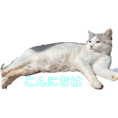 yukari_20201020000946