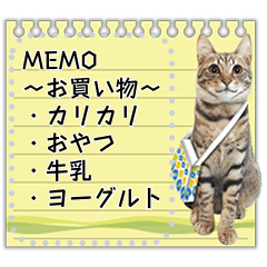 キジトラ猫の写真スタンプ【メッセージ】