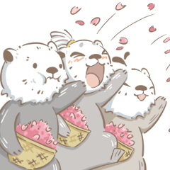 sea otters,Kimaru,souta and Hanako
