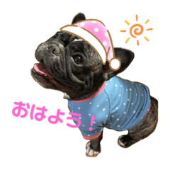 katsukatsu8686_20201020204229