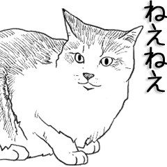 Morphing cat