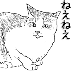 絵から写真へ変化する猫 Line スタンプ Line Store