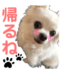 suzu_20201021080928