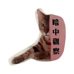嘎逼日常表情