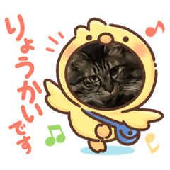 sayuri_20201020221516