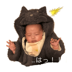 cherry_20201021095500