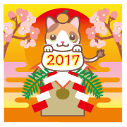 2017 NEW YEAR Calico cat