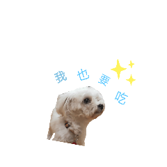 多多對你說
