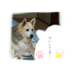risa_20201020232440