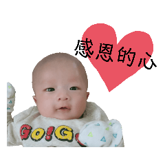 小布丁長大了