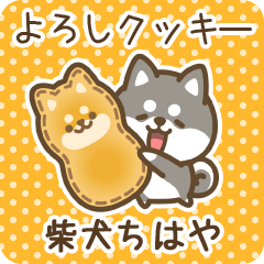 Petit Shiba Chihaya (Joke Sweets)