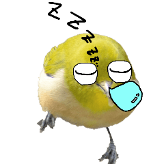 Doodle on the face of Japanese white-eye