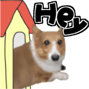 Dogs are friends