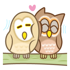Cute owl family