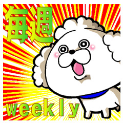 We use weekly poodle every week