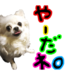 suzu_20201021170017