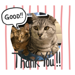 HARUNA_20201021165148