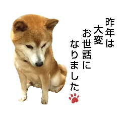 あにまるライフ2