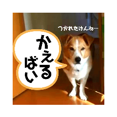 risa_20201021231614