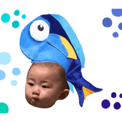 Dory 寶寶