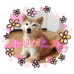 mizuki_20201022002510