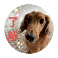 chihiro020221
