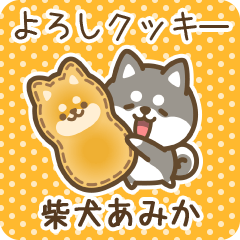 Petit Shiba Amika (Joke Sweets)