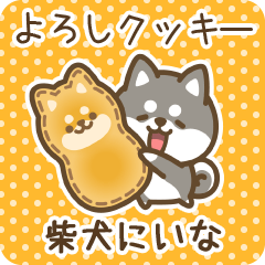 Petit Shiba Niina (Joke Sweets)