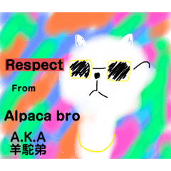 Alpaca bro A.K.A 羊駝弟