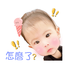 萱萱家族專用趴兔