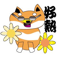 Shiba Inu's Outing Diary