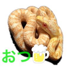 HAUHIME_20201021230153