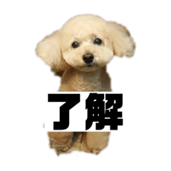 kaito_20201021233208