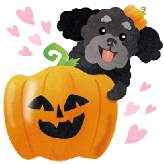 Black Poodle-Halloween (VOL.2)