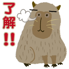 a capybara and its neighbors 1