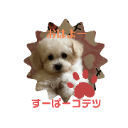 super KOTETSU_20201022141329