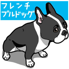 Wanko-Biyori French Bulldog
