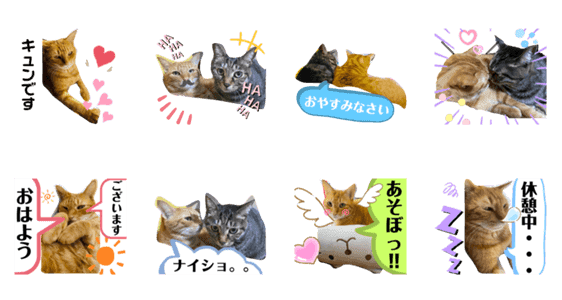 田舎さん家のにゃんこ Lineクリエイターズスタンプ Stamplist