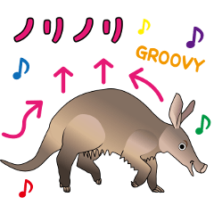 Groovy Aardvark